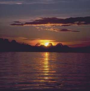sunset.jpg